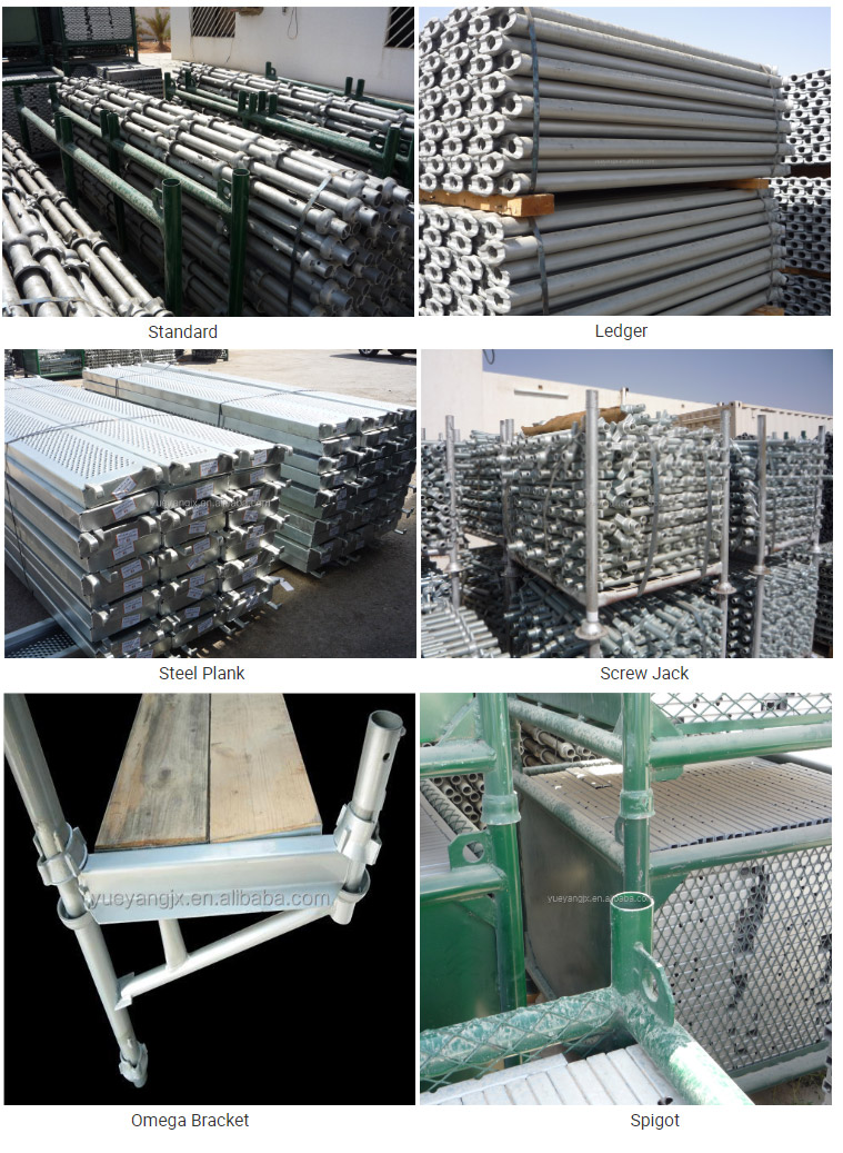 cup lock scaffolding parts Product Details