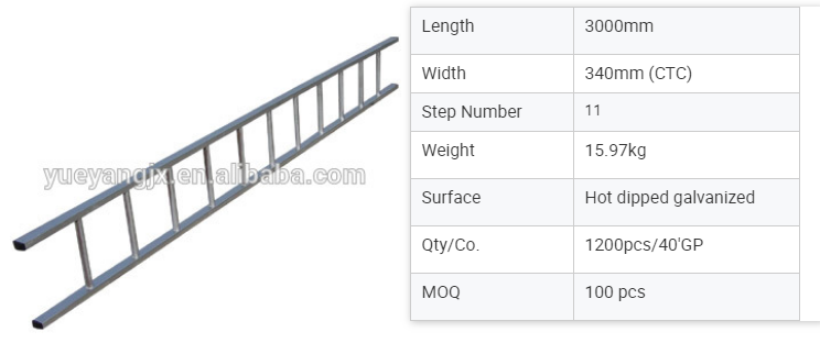 Parameters of Galvanized Steel Straight Scaffolding Ladder for More Possible Occasion